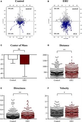 Aberrant Migratory Behavior of Immune Cells in Recurrent Autoimmune Uveitis in Horses